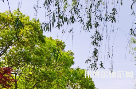 南陽理工師范學(xué)院2023年報(bào)名條件、招生要求、招生對象