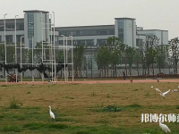 浙江師范大學(xué)行知學(xué)院蘭溪校區(qū)2023年報名條件、招生要求、招生對象