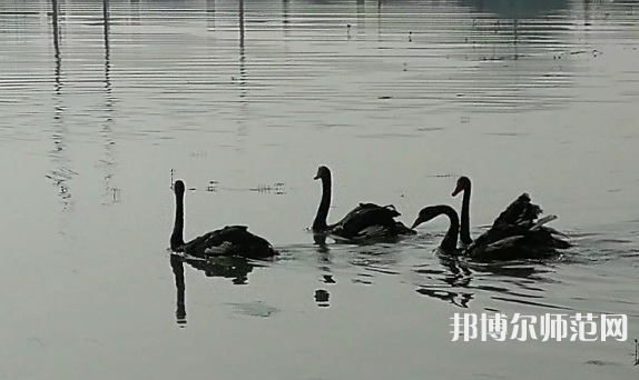 浙江師范大學(xué)行知學(xué)院蘭溪校區(qū)2023年怎么樣、好不好