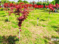漢中職業(yè)技術(shù)師范學(xué)院2023年怎么樣、好不好