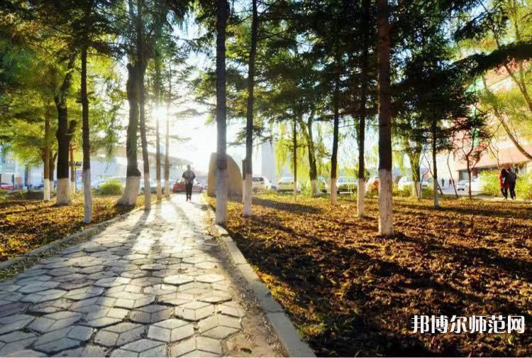 長春大學師范學院主校區(qū)2023年報名條件、招生要求、招生對象