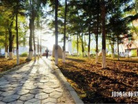 長春大學(xué)師范學(xué)院主校區(qū)2023年報名條件、招生要求、招生對象