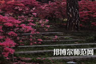 信陽(yáng)師范學(xué)院華銳學(xué)院2023年報(bào)名條件、招生要求、招生對(duì)象
