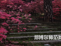信陽(yáng)師范學(xué)院華銳學(xué)院2023年報(bào)名條件、招生要求、招生對(duì)象