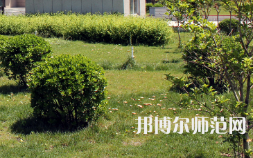 安陽幼兒師范高等?？茖W(xué)校歷年招生錄取分?jǐn)?shù)線
