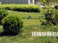 安陽幼兒師范高等?？茖W(xué)校歷年招生錄取分?jǐn)?shù)線