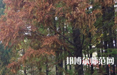 信陽師范學院2023年怎么樣、好不好
