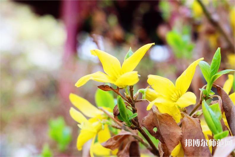 長(zhǎng)春理工師范大學(xué)2023年怎么樣、好不好