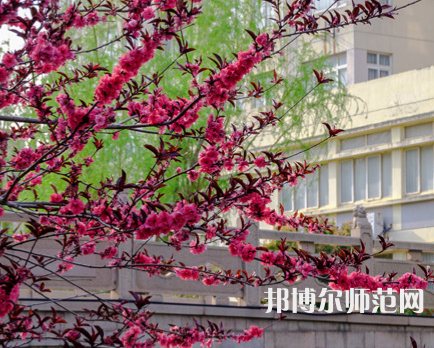 蘇州科技師范大學(xué)天平學(xué)院2023年報(bào)名條件、招生要求、招生對象