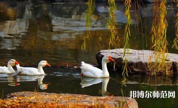 山東財(cái)經(jīng)師范大學(xué)萊蕪校區(qū)2023年報(bào)名條件、招生要求、招生對象 