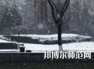 焦作師范高等?？茖W(xué)校2023年招生代碼