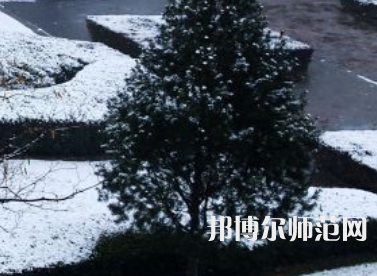 焦作師范高等專科學校2023年報名條件、招生要求、招生對象
