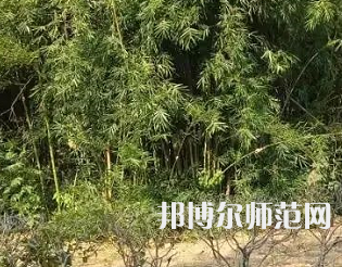 湖南理工師范學(xué)院南湖學(xué)院2023年怎么樣、好不好