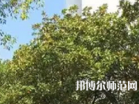 湖南理工師范學(xué)院南湖學(xué)院2023年怎么樣、好不好