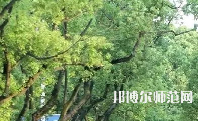 湖南理工師范學院南湖學院2023年報名條件、招生要求、招生對象