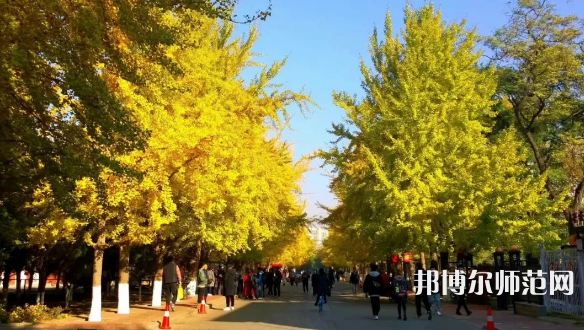 遼寧大學(xué)師范學(xué)院崇山校區(qū)2023年報(bào)名條件、招生要求、招生對(duì)象