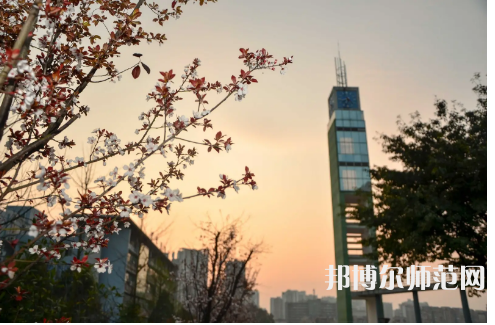 重慶文理師范學(xué)院星湖校區(qū)2023年學(xué)費、收費多少