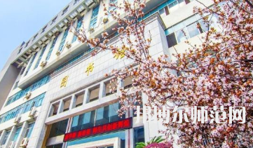 南華師范大學(xué)雨母校區(qū)2023年報(bào)名條件、招生要求、招生對(duì)象