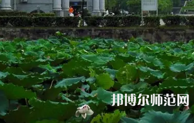 南華師范大學(xué)紅湘校區(qū)2023年報(bào)名條件、招生要求、招生對(duì)象