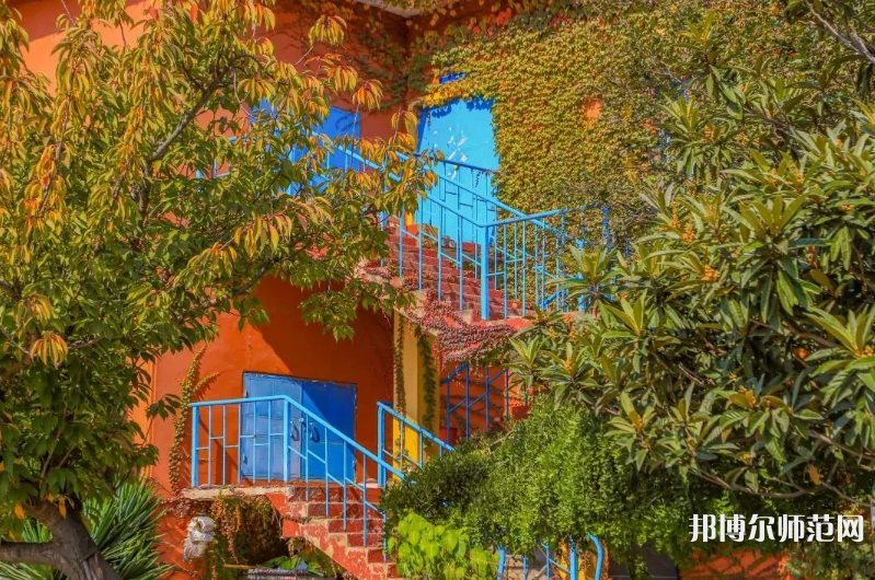 青島科技師范大學(xué)高密校區(qū)2023年報(bào)名條件、招生要求、招生對(duì)象 