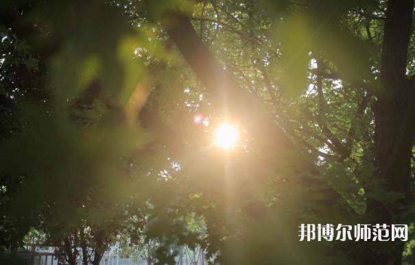 咸陽職業(yè)技術(shù)師范學(xué)院2023年報(bào)名條件、招生要求、招生對(duì)象