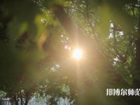 咸陽職業(yè)技術(shù)師范學(xué)院2023年報(bào)名條件、招生要求、招生對象