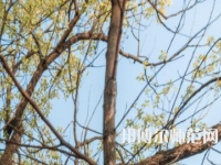 湖南大學師范學院南校區(qū)2023年怎么樣、好不好