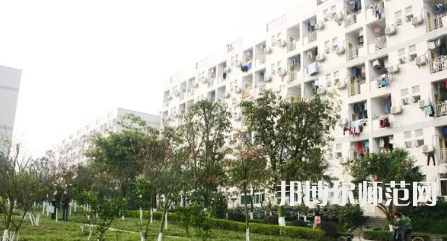 重慶師范大學(xué)涉外商貿(mào)學(xué)院銅梁校區(qū)2023年學(xué)費(fèi)、收費(fèi)多少 