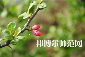 西安幼兒師范職業(yè)學(xué)校2023年學(xué)費、收費多少