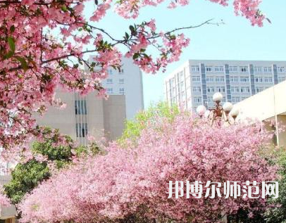 中國礦業(yè)師范大學(xué)徐海學(xué)院2023年報名條件、招生要求、招生對象