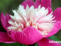 海南師范大學(xué)2023年報名條件、招生要求、招生對象