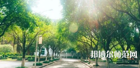 重慶師范大學(xué)涉外商貿(mào)學(xué)院合川校區(qū)2023年報名條件、招生要求、招生對象 