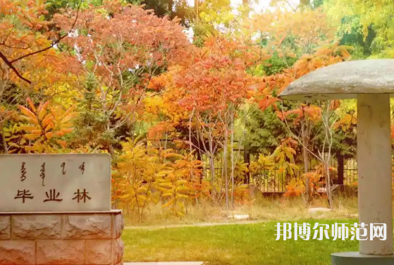 內(nèi)蒙古大學(xué)師范學(xué)院滿洲里學(xué)院2023年怎么樣、好不好