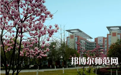 長(zhǎng)江師范學(xué)院2023年報(bào)名條件、招生要求、招生對(duì)象 