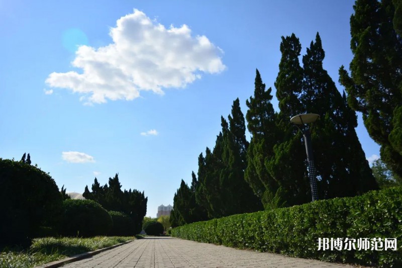 山東石油化工師范學(xué)院2023年報(bào)名條件、招生要求、招生對(duì)象 