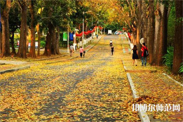 海南大學(xué)師范學(xué)院海甸校區(qū)2023年報(bào)名條件、招生要求、招生對象 