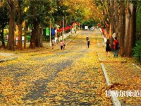 海南大學(xué)師范學(xué)院海甸校區(qū)2023年報名條件、招生要求、招生對象