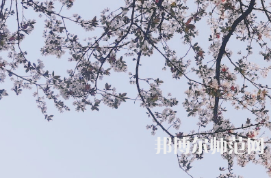 湖南第一師范學(xué)院城南書(shū)院校區(qū)2023年學(xué)費(fèi)、收費(fèi)多少