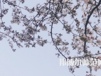 湖南第一師范學(xué)院城南書院校區(qū)2023年學(xué)費(fèi)、收費(fèi)多少
