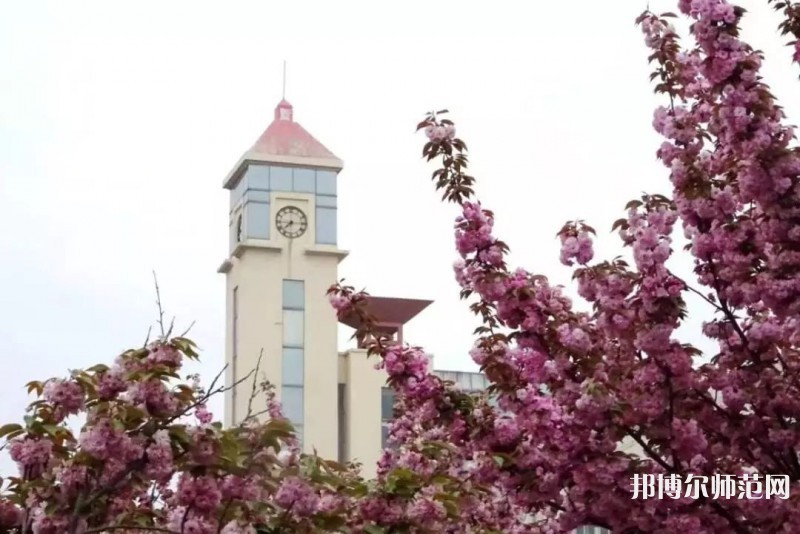 青島師范大學(xué)金家?guī)X校區(qū)2023年報(bào)名條件、招生要求、招生對(duì)象 
