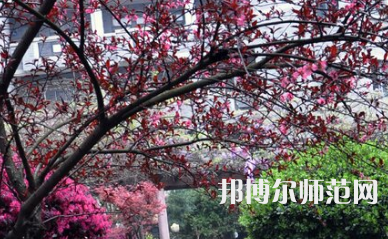 湖南第一師范學(xué)院城南書院校區(qū)2023年怎么樣、好不好
