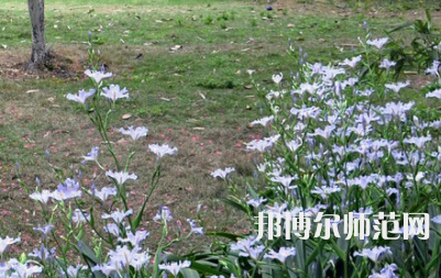 湖南第一師范學(xué)院城南書院校區(qū)2023年怎么樣、好不好