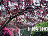 湖南第一師范學院城南書院校區(qū)2023年怎么樣、好不好