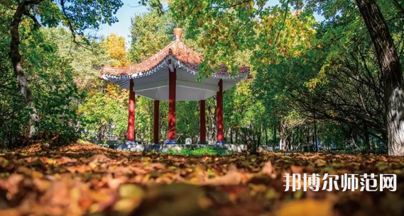 黑龍江師范大學(xué)2023年報(bào)名條件、招生要求、招生對(duì)象 
