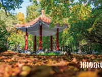 黑龍江師范大學2023年報名條件、招生要求、招生對象