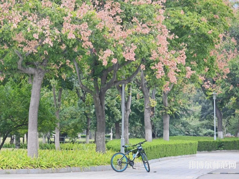 山東師范大學(xué)2023年學(xué)費