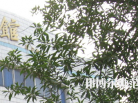 湖南師范大學(xué)樹達(dá)學(xué)院2023年怎么樣、好不好