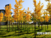 寧夏民族職業(yè)技術師范學院2023年怎么樣、好不好