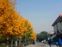 西北師范大學(xué)2023年怎么樣、好不好