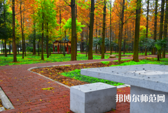 長(zhǎng)江大學(xué)文理學(xué)院2023年怎么樣、好不好